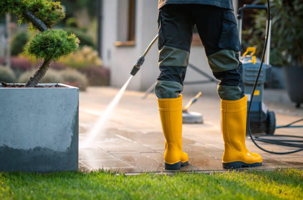 Best Power Washing Near Me  in Tehachapi, CA